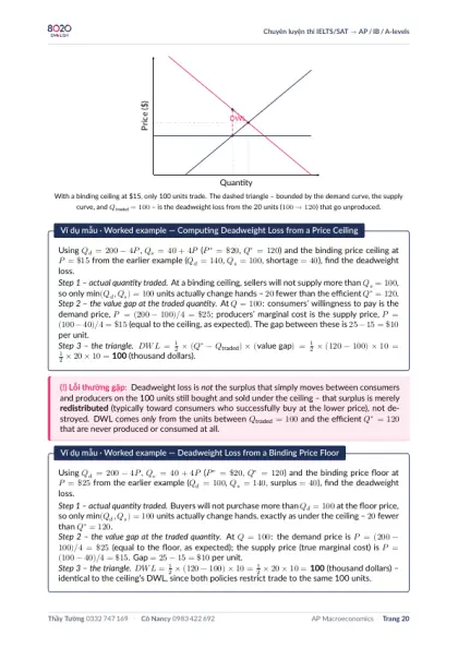Trang trong sách AP Macroeconomics